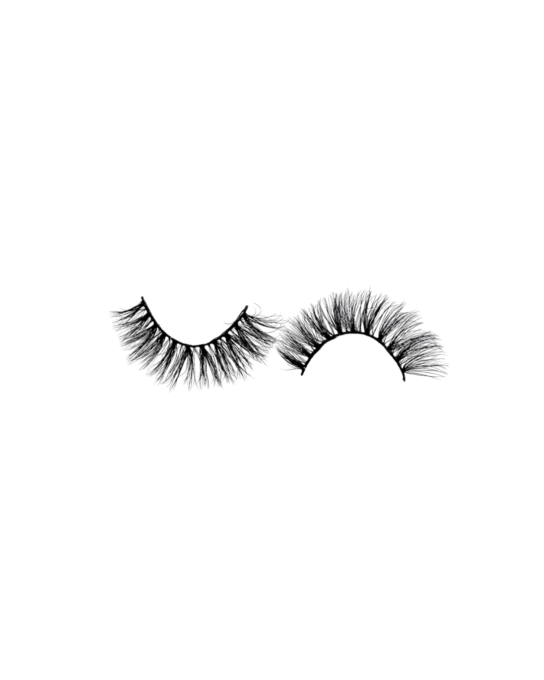 Shy Lash